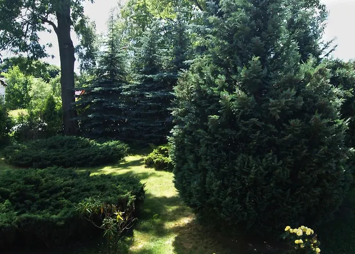 Appartamento Natalia *